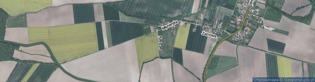 Zdjęcie satelitarne Kuźnicza ul.